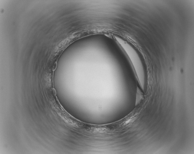 X0000052540401200507221431