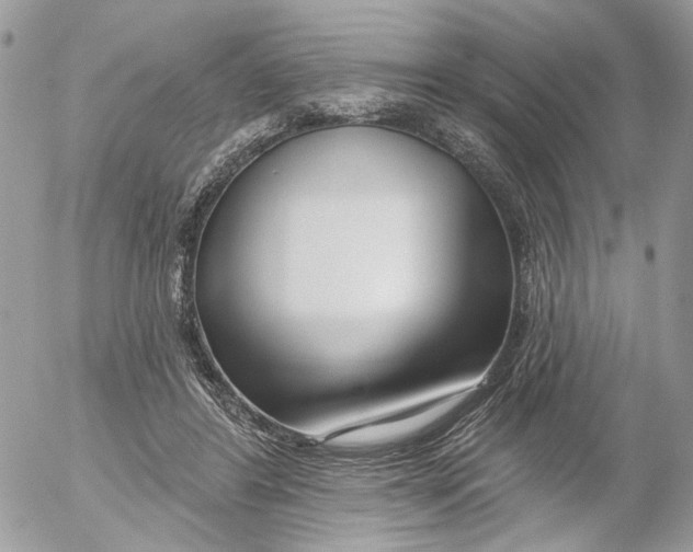 X0000052540404200507221431