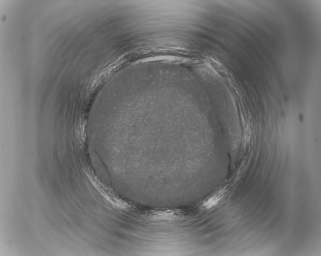 X0000052540405200507221431