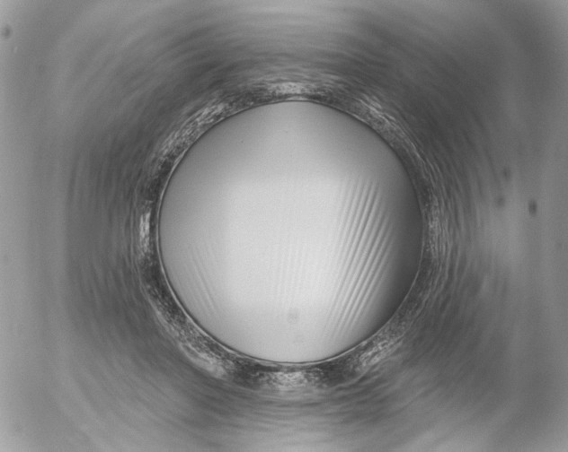 X0000052540406200507221431