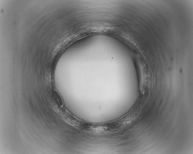 X0000052540407200507221431