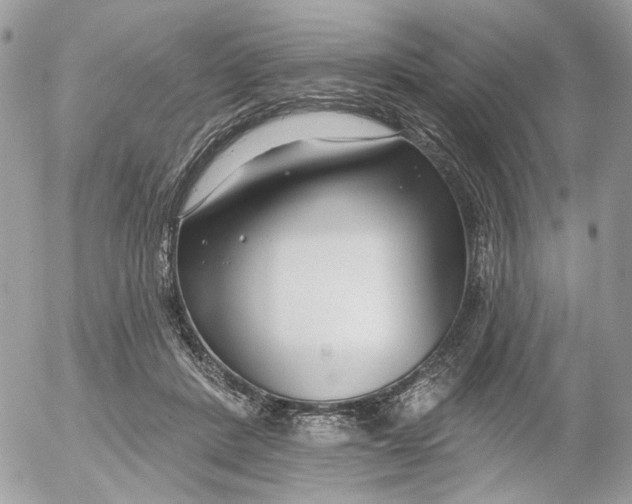 X0000052540408200507221431