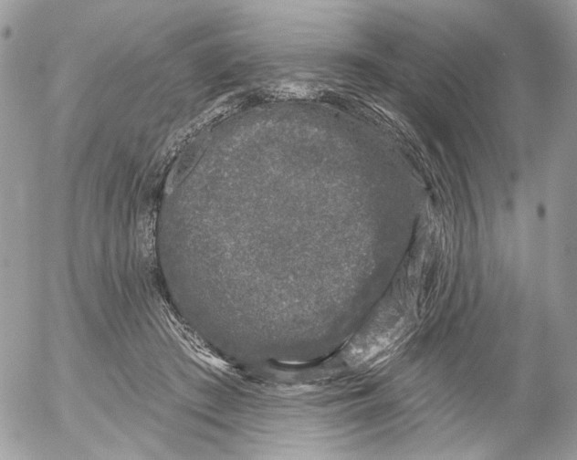 X0000052540409200507221431