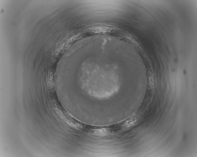 X0000052540411200507221431