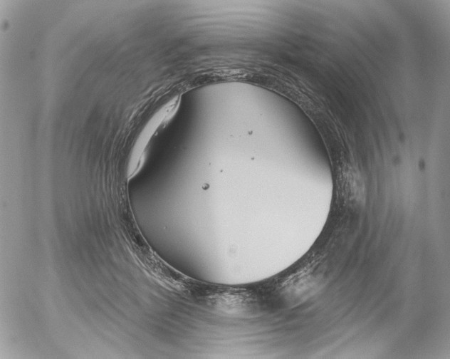 X0000052540412200507221431