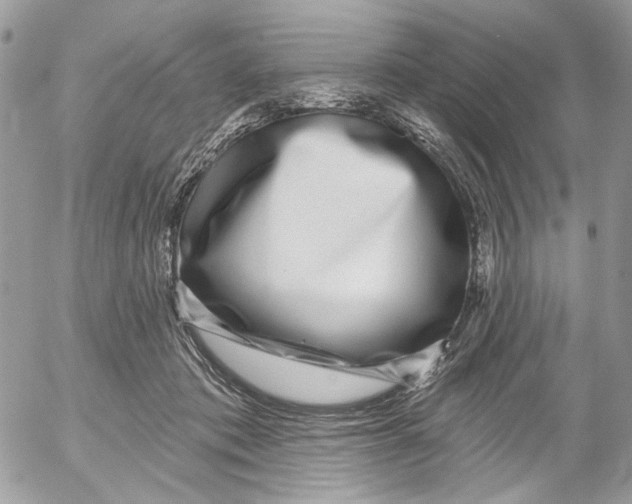 X0000052540413200507221431