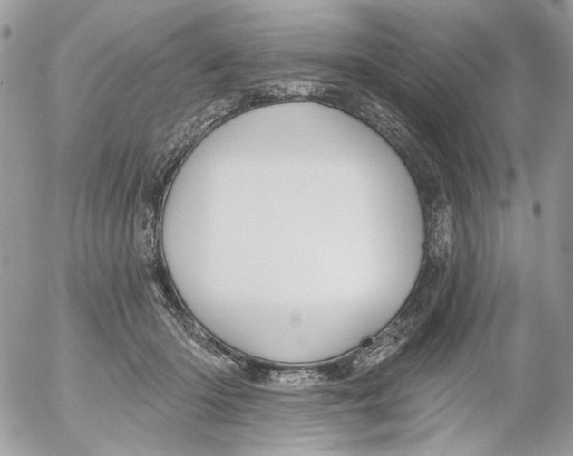 X0000052540414200507221431