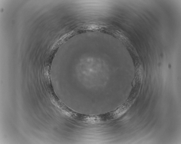 X0000052540415200507221431