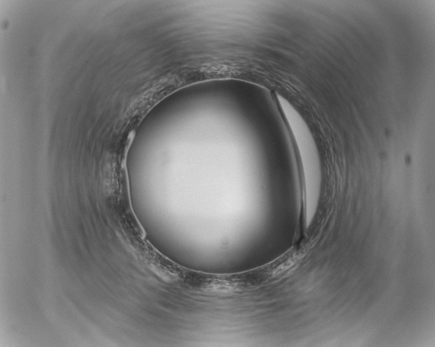 X0000052540416200507221431