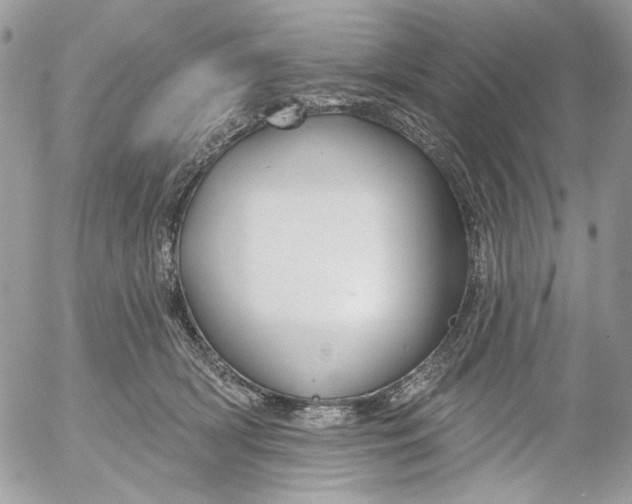 X0000052540418200507221430