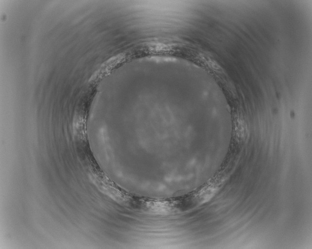 X0000052540419200507221430