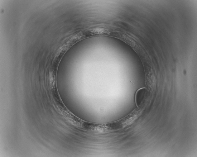 X0000052540420200507221430