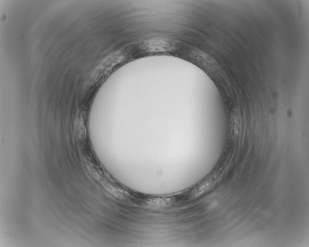 X0000052540422200507221430