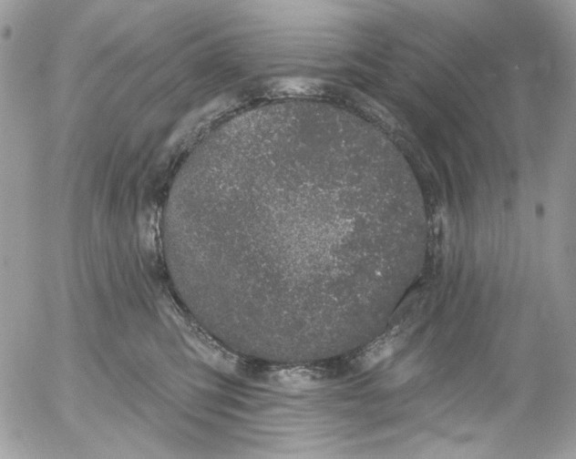 X0000052540423200507221430