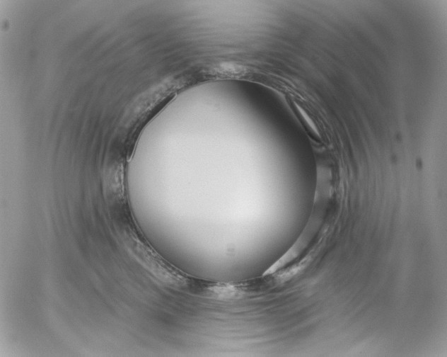 X0000052540425200507221430