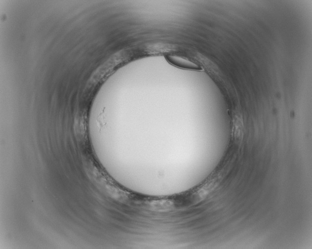 X0000052540426200507221430