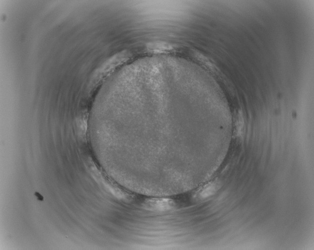 X0000052540427200507221430