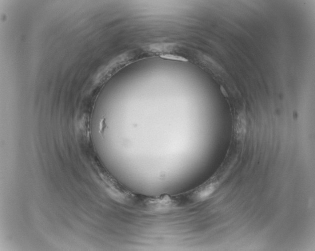 X0000052540428200507221430