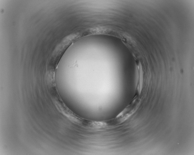 X0000052540429200507221430