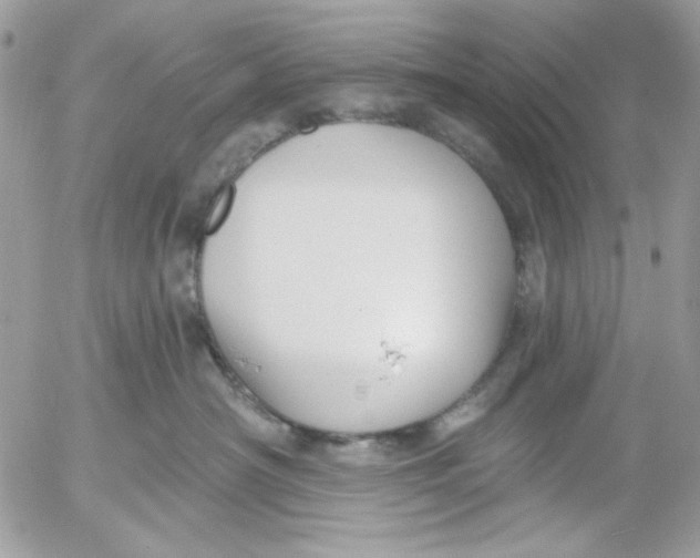 X0000052540430200507221430