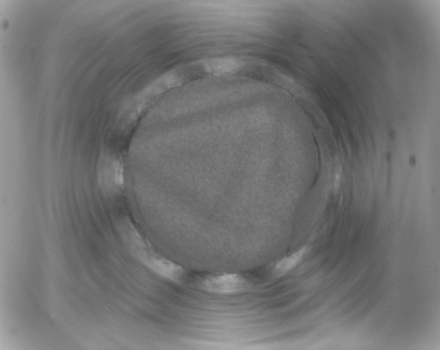 X0000052540431200507221430