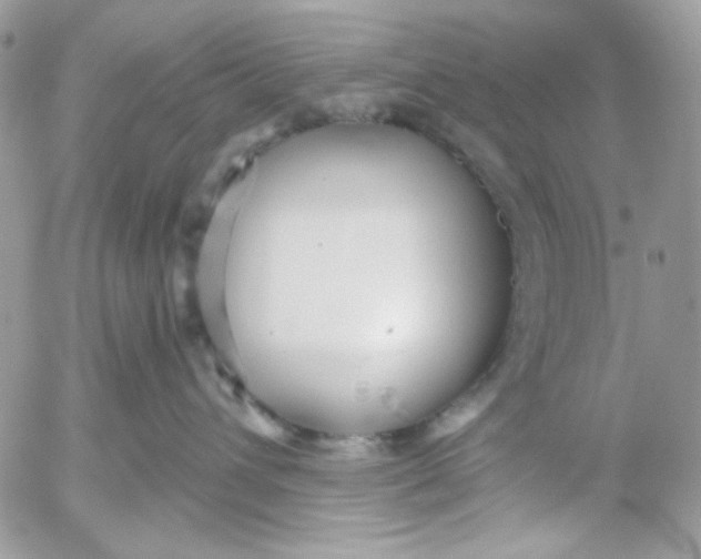 X0000052540432200507221430