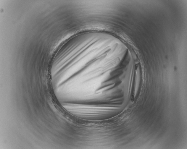 X0000052540434200507221429