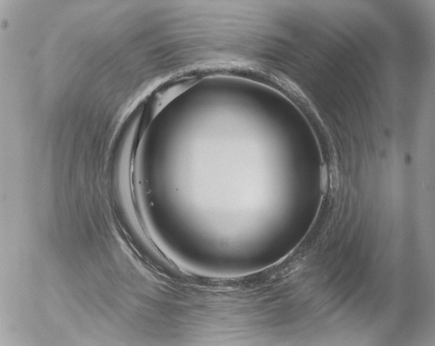 X0000052540436200507221430