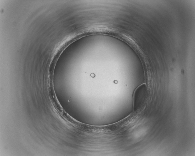 X0000052540439200507221430