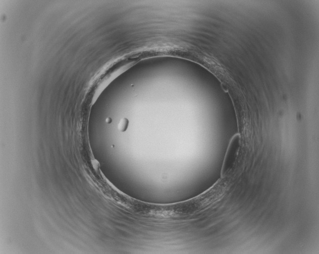 X0000052540440200507221430