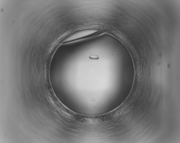 X0000052540442200507221430