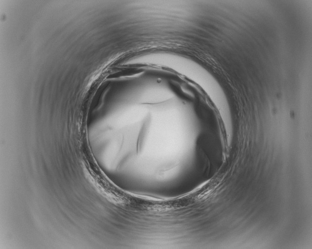 X0000052540444200507221430