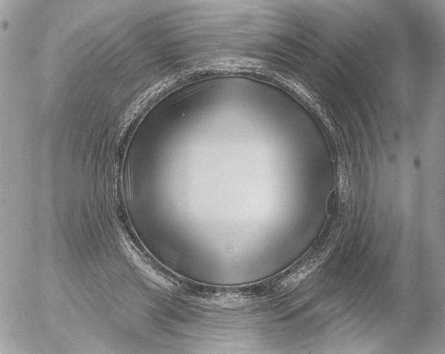 X0000052540445200507221430