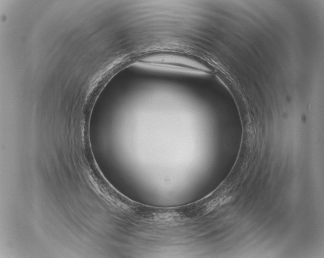 X0000052540446200507221430