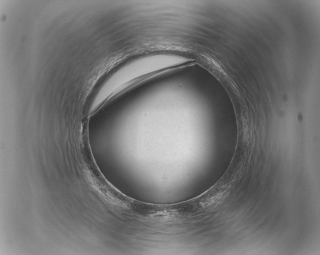 X0000052540447200507221430