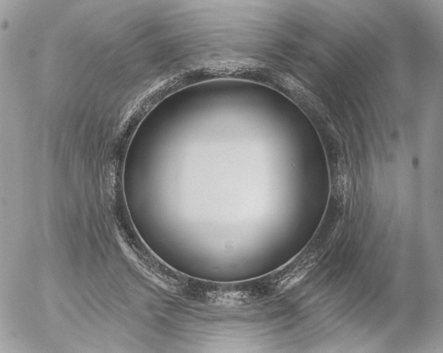 X0000052540448200507221430