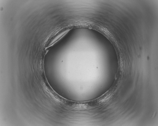 X0000052540449200507221430