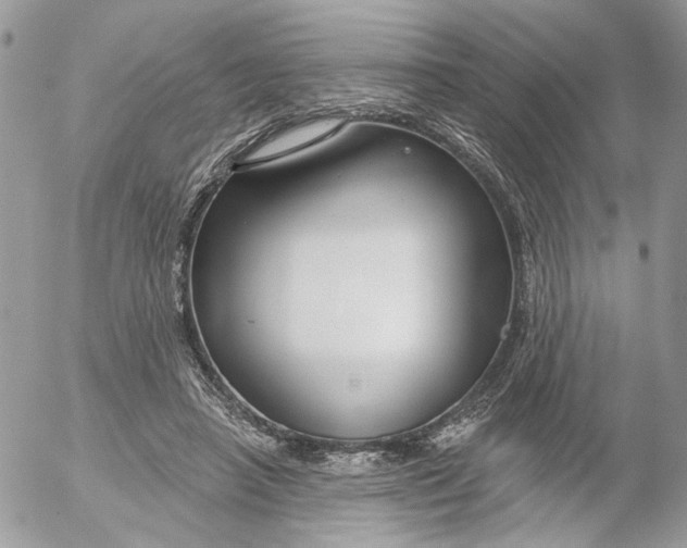 X0000052540450200507221430