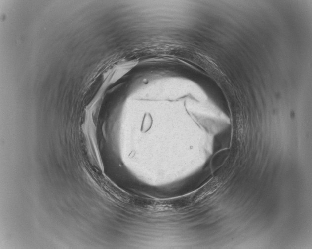 X0000052540451200507221430