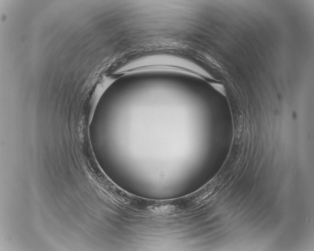 X0000052540452200507221430