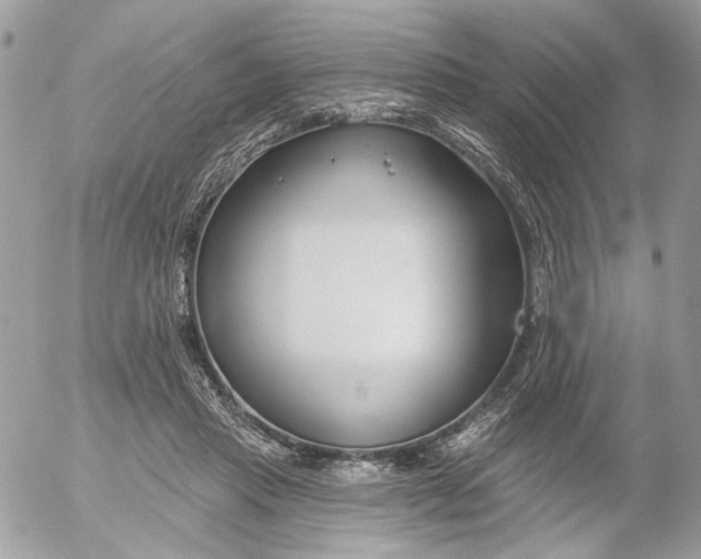 X0000052540453200507221430