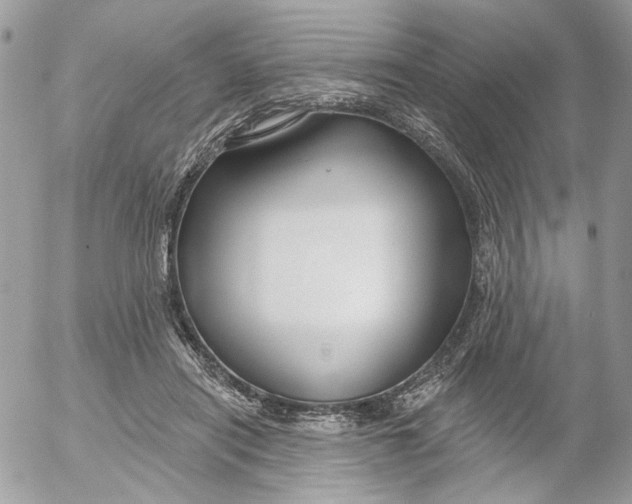 X0000052540454200507221430