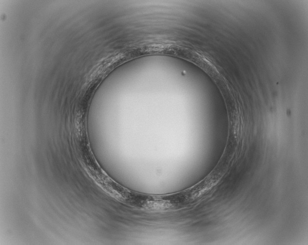 X0000052540455200507221430