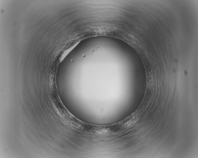 X0000052540456200507221430