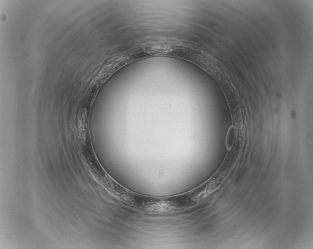 X0000052540460200507221430