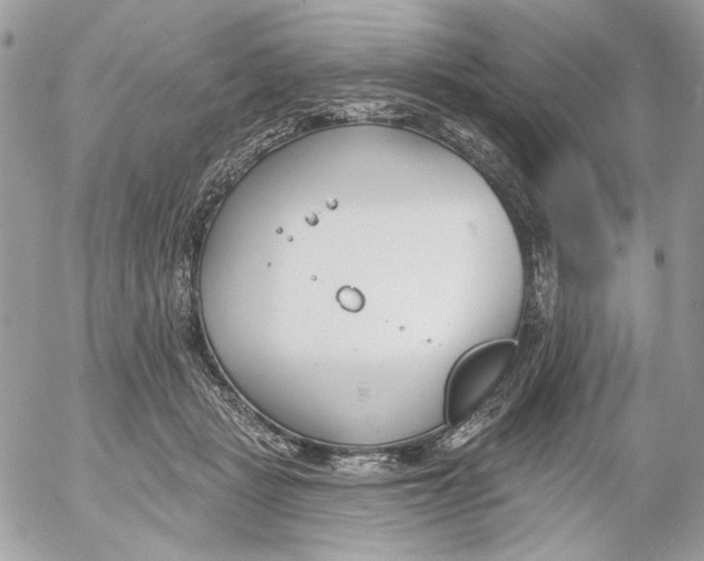 X0000052540461200507221430