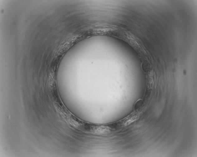 X0000052540463200507221430