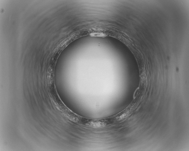 X0000052540464200507221430