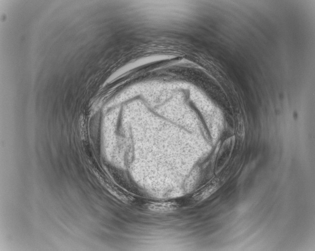 X0000052540465200507221430