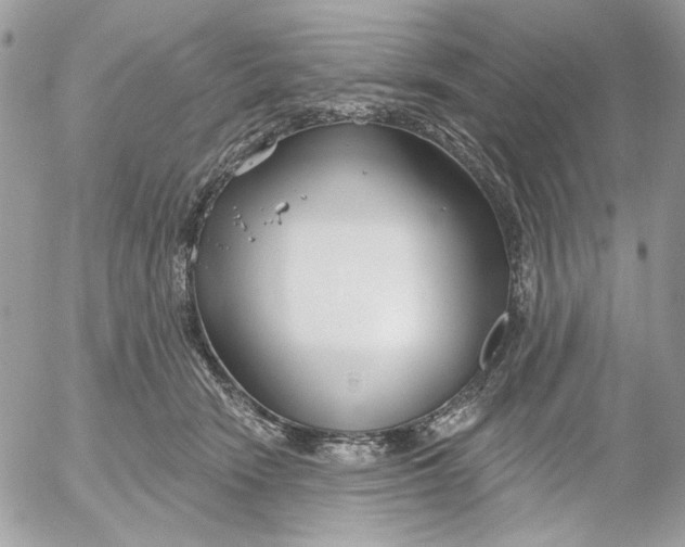 X0000052540466200507221430